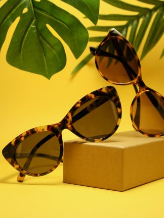 Wayfarer Sofía · Carey